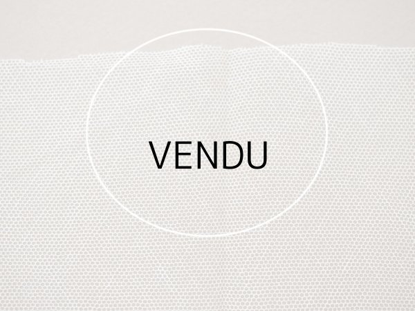 画像6: アンティーク 花の刺繍入り 幅広レース エクリュ　1.4m 幅14.4cm (6)