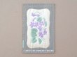 画像1: 1909年 アンティーク 菫のポストカード 香り袋入り　 (1)