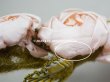 画像17: 【セール対象外】未使用 1910年代 アンティーク 大きな薔薇のロココモチーフのガーランド 　オートクチュールのドレスの装飾 107cm (17)
