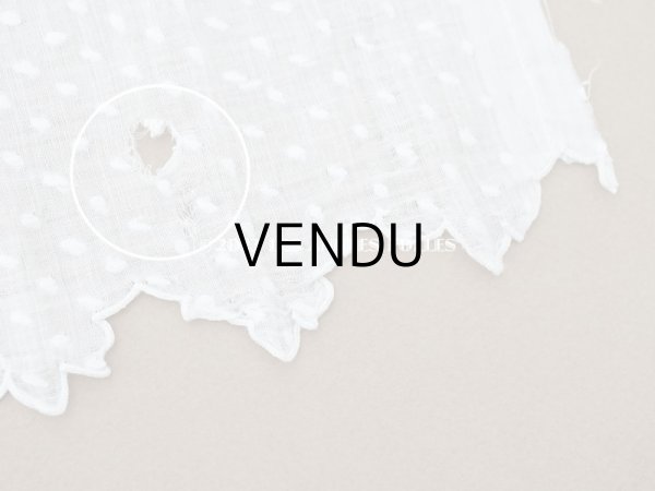 画像20: アンティーク  ドットの刺繍入り コットン生地  (20)