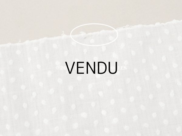 画像11: アンティーク  ドットの刺繍入り コットン生地  (11)