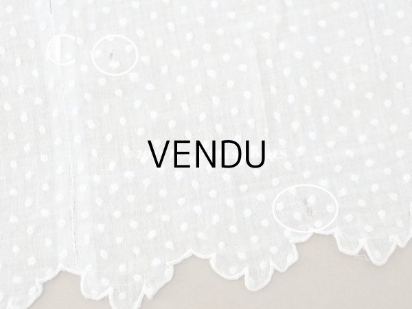画像8: アンティーク  ドットの刺繍入り コットン生地  (8)