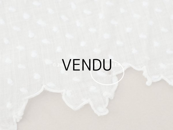 画像14: アンティーク  ドットの刺繍入り コットン生地  (14)