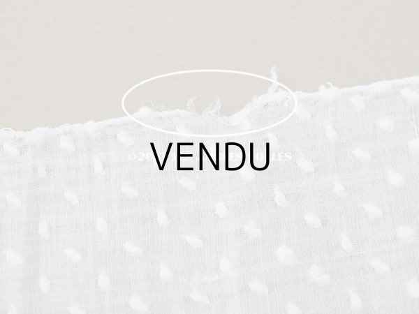 画像16: アンティーク  ドットの刺繍入り コットン生地  (16)