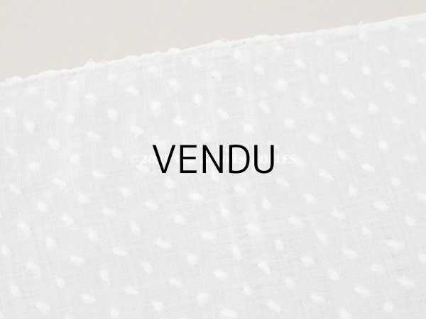 画像3: アンティーク  ドットの刺繍入り コットン生地  (3)