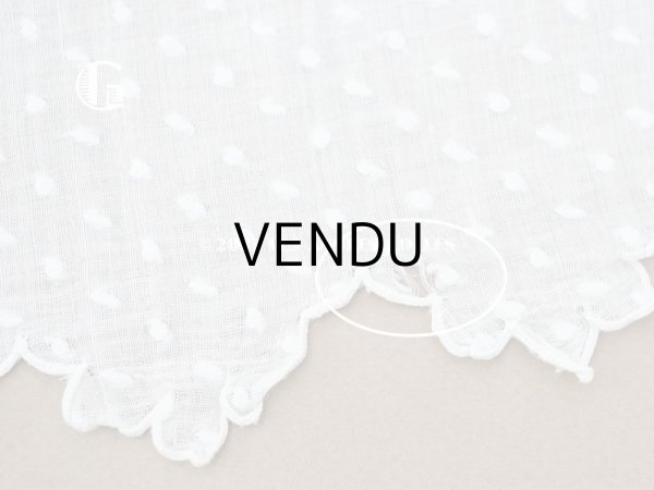画像18: アンティーク  ドットの刺繍入り コットン生地  (18)