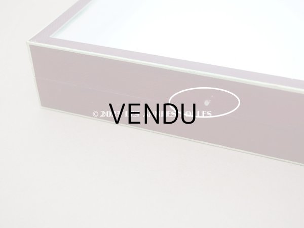 画像7: アンティーク プレザントワール 博物標本用 ガラスケース - N.BOUBÉE & Cie - (7)