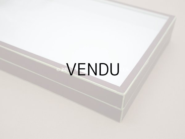 画像5: アンティーク プレザントワール 博物標本用 ガラスケース - N.BOUBÉE & Cie - (5)