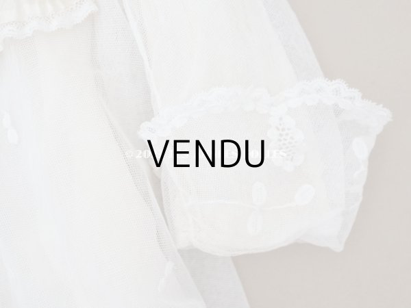 画像9: 1900年頃 アンティーク ベビー用ケープ シルクのプリーツ＆プリンセスレース (9)