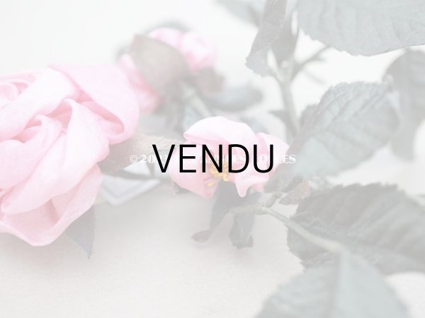画像5: 未使用　アンティーク シルク製 薔薇の布花 ラベル付き　- AUX GALERIES LAFAYETTE - (5)