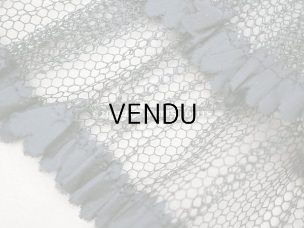 画像6: 19世紀末 アンティーク  ドレスの裾 シルクのプリーツ＆レース 1.84m 28cm幅 (6)