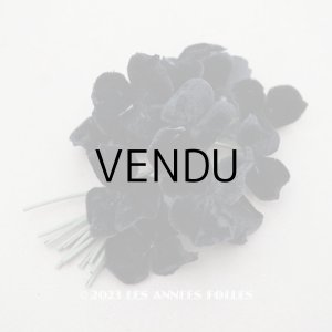 画像: アンティーク ベルベットの布花　黒