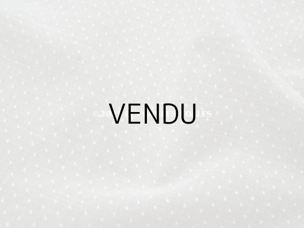 画像3: アンティーク  ドットの刺繍入り コットン生地  (3)