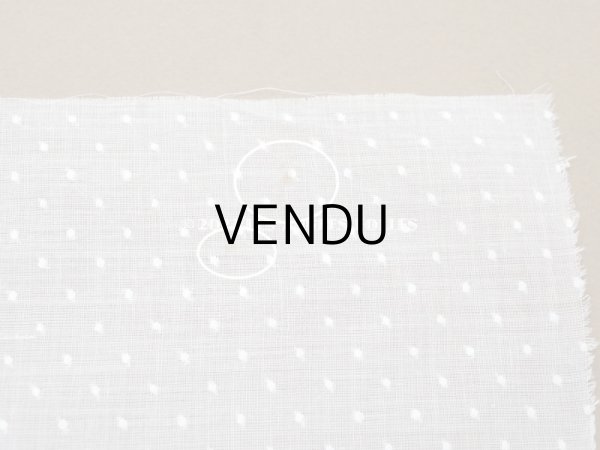 画像8: アンティーク  ドットの刺繍入り コットン生地  (8)