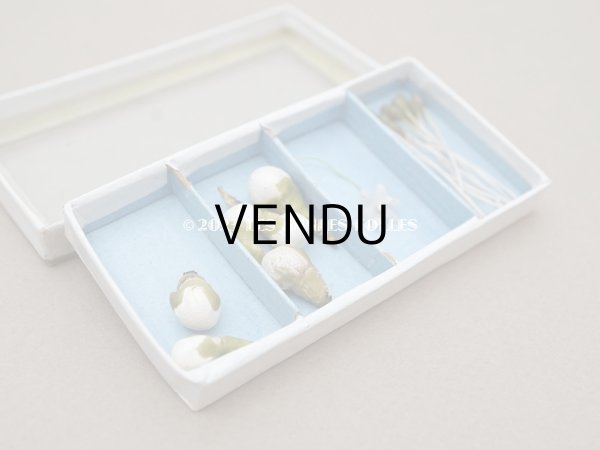 画像7: アンティーク エパングルケース ガラスの蓋の紙箱  (7)