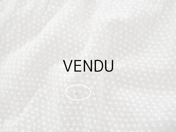 画像7: アンティーク  とても小さなドット刺繍入り コットン生地   (7)