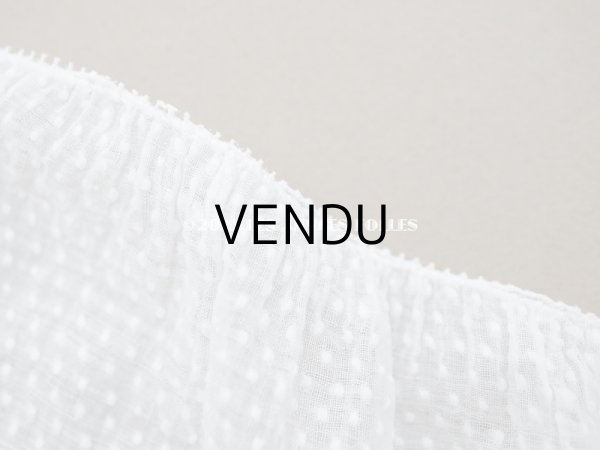 画像5: アンティーク  とても小さなドット刺繍入り コットン生地   (5)