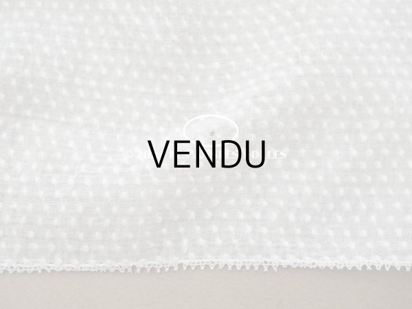 画像8: アンティーク  とても小さなドット刺繍入り コットン生地   (8)