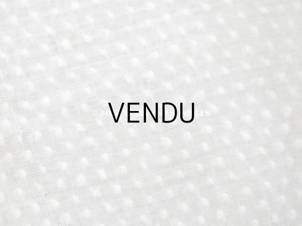 画像3: アンティーク  とても小さなドット刺繍入り コットン生地   (3)