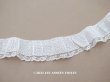 画像1: アンティーク  とても小さなドット刺繍入り コットン生地のレース付きリボン　108cm (1)