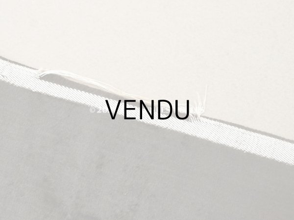 画像6: 19世紀末 アンティーク ファブリック シルク製 ベルベット 黒  (6)