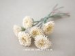 画像1: 1920年代　アンティーク  デイジーの布花 生成り (1)