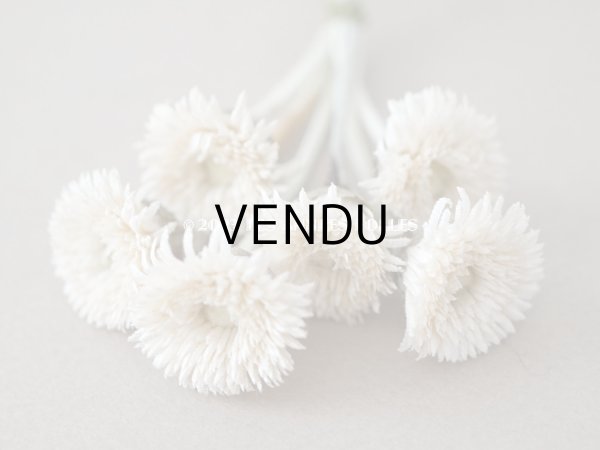 画像3: 1920年代　アンティーク  デイジーの布花 　オフホワイト (3)