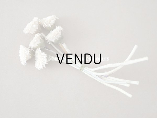 画像4: 1920年代　アンティーク  デイジーの布花 　オフホワイト (4)