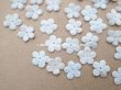 画像2: アンティーク 勿忘草の花びら ベルベット 60ピースのセット ベビーブルー 10mm (2)