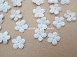 画像3: アンティーク 勿忘草の花びら ベルベット 60ピースのセット ベビーブルー 10mm (3)