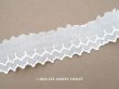 画像1: 【13周年セール対象外】アンティーク スカラップレース 刺繍入り オフホワイト　4.5cm幅  (1)