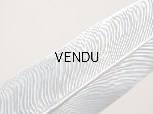 画像7: 【13周年セール対象外】1900年代 アンティーク シルバー製 羽のペン軸  (7)