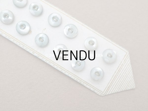 画像6: アンティーク マザーオブパール製 極小 ボタン 6mm 12ピース シェルボタン パウダーブルー (6)