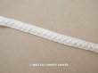 画像1: アンティーク 極細　ドット刺繍入りトリム オフホワイト　1.3m 6mm幅 (1)