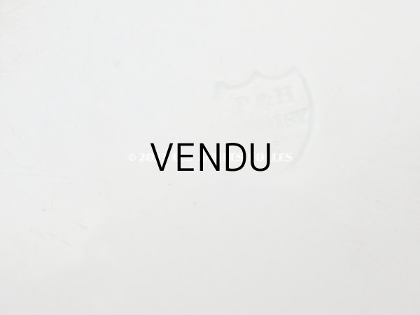 画像12: 19世紀末 アンティーク オクトゴナル　プレート　ラヴィエ　- CHOISY-LE-ROI - (12)