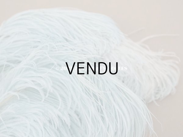 画像5: 19世紀末 ラベル付 フェザー 水色 羽飾り  (5)