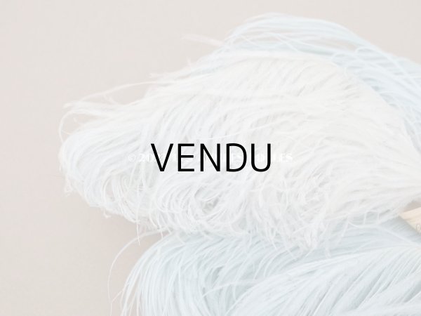 画像6: 19世紀末 ラベル付 フェザー 水色 羽飾り  (6)