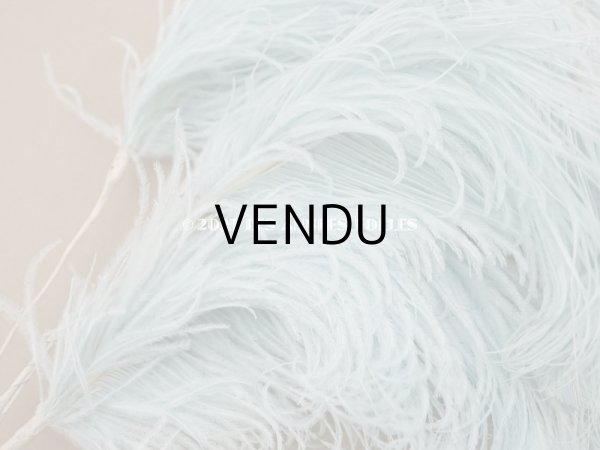 画像4: 19世紀末 ラベル付 フェザー 水色 羽飾り  (4)