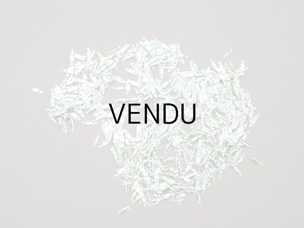 画像4: 1900年頃 アンティーク ガラスの蓋の小さな紙箱 極小2×7mm　メタル製スパンコール入り - AUX ECUSSONS - (4)