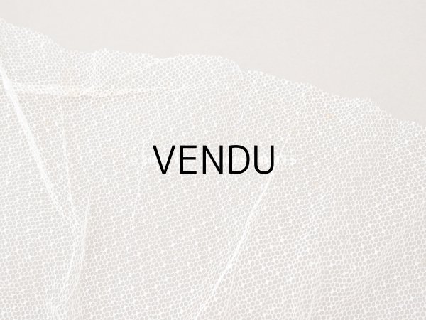 画像7:  アンティーク チュールレースのファブリック　ドット柄 100×170cm (7)