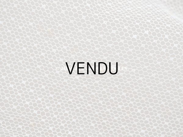 画像3:  アンティーク チュールレースのファブリック　ドット柄 100×170cm (3)