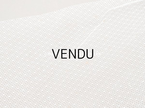 画像5:  アンティーク チュールレースのファブリック　ドット柄 100×170cm (5)