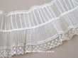 画像1: 1900年頃 アンティーク 幅広 ドレスの裾  プリーツ入り レース付 1.9m 幅21.5cm　コットンオーガンジー (1)