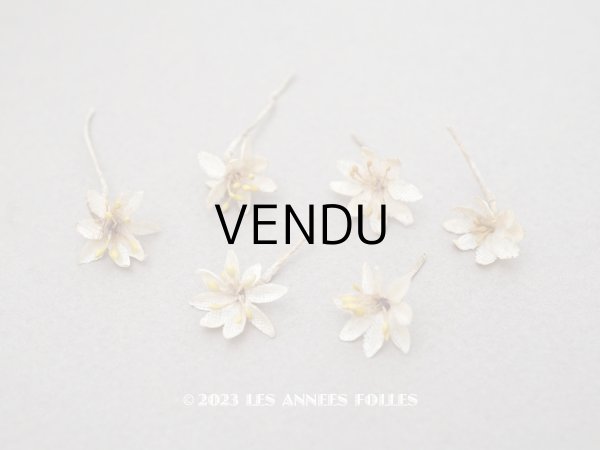 画像1: アンティーク 布花材料 小さなワックスフラワー 20ピースのセット 15mm (1)