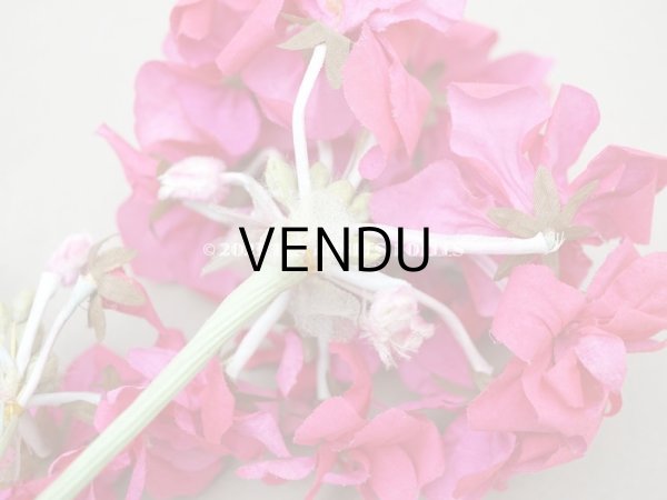 画像3: アンティーク ゼラニウムの布花  ピンク (3)