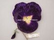 画像2: 1900年頃 未使用　アンティーク 大きなパンジーの布花 ラベル付 深紫 (2)