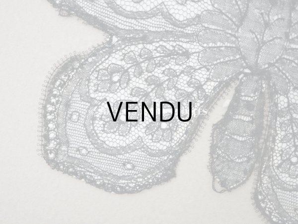 画像5: 19世紀末 アンティーク 蝶のレースモチーフ 花模様 (5)