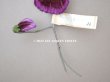 画像3: 1900年頃 未使用　アンティーク パンジーの布花 ラベル付 紫＆ボルドー (3)