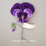 画像: 1900年頃 未使用　アンティーク パンジーの布花 ラベル付 紫