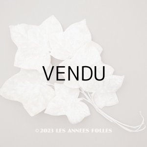 画像: 19世紀末 アンティーク リーフ シルク製ベルベット オフホワイト - AU BON MARCHE -